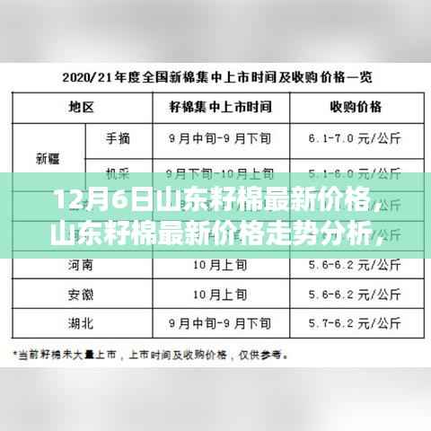 山东籽棉最新价格动态，走势分析与观点探讨（12月6日）