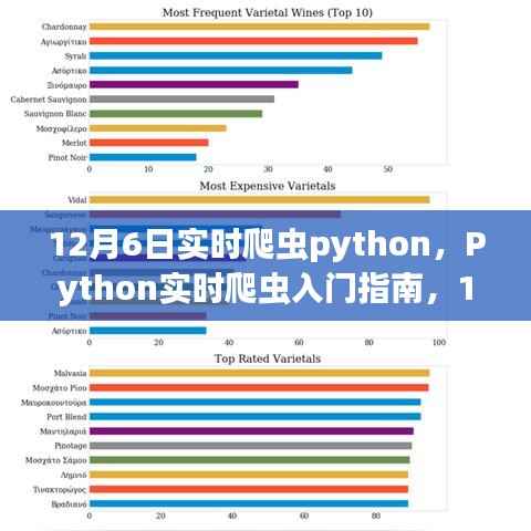 Python实时爬虫入门指南与实操步骤(12月6日版)