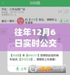 往年12月6日实时公交异常解析与应对指南,原因、解析及应对步骤揭秘