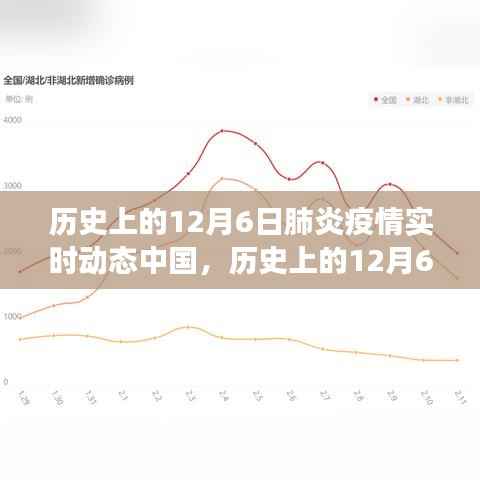 历史上的12月6日中国肺炎疫情实时动态，学习成就与鼓舞人心的力量历程回顾