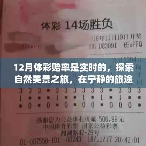 十二月体彩赔率实时探索,自然美景之旅中的真实自我探索之旅