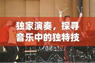 独家演奏,探寻音乐中的独特技能