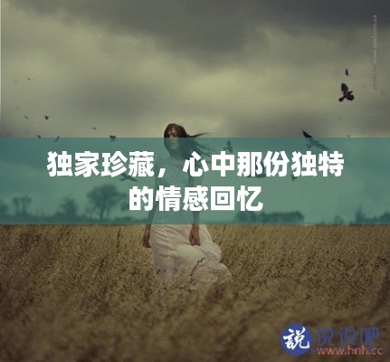 独家珍藏,心中那份独特的情感回忆