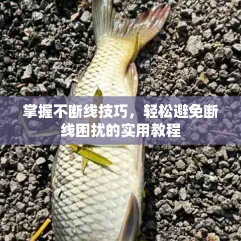 掌握不断线技巧,轻松避免断线困扰的实用教程