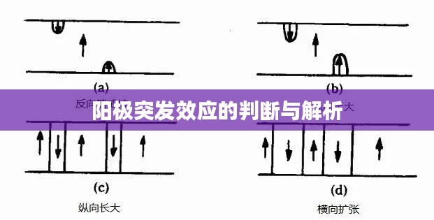 阳极突发效应的判断与解析