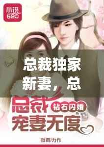 总裁独家新妻，总裁独家妻免费阅读宠爱无度 