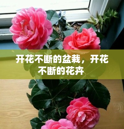 文质彬彬 第10页