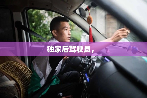 独家后驾驶员， 