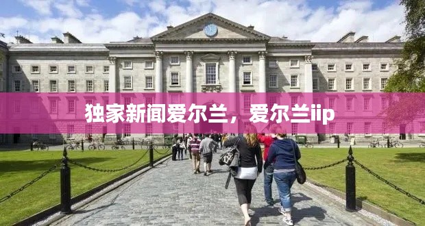 独家新闻爱尔兰，爱尔兰iip 