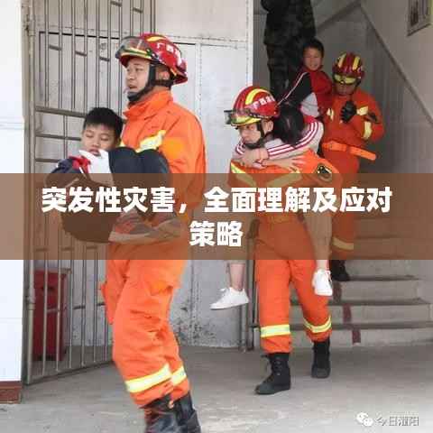 突发性灾害,全面理解及应对策略