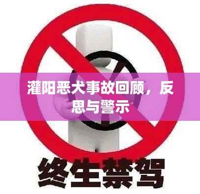 灌阳恶犬事故回顾,反思与警示