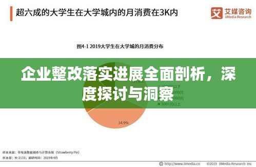 企业整改落实进展全面剖析,深度探讨与洞察