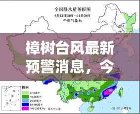 樟树台风最新预警消息,今日实时更新!