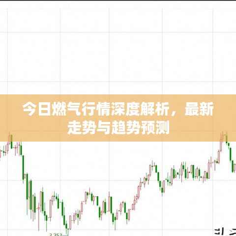 今日燃气行情深度解析,最新走势与趋势预测
