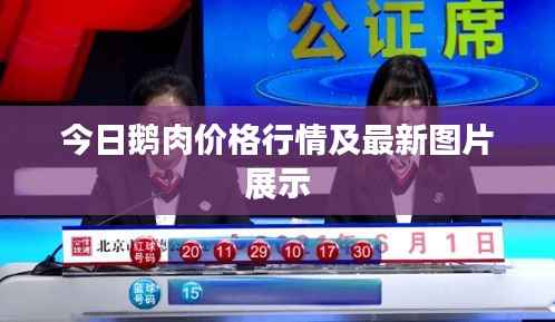 zhuanxinzhizhi 第9页