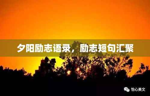 fanzhangjishu 第8页