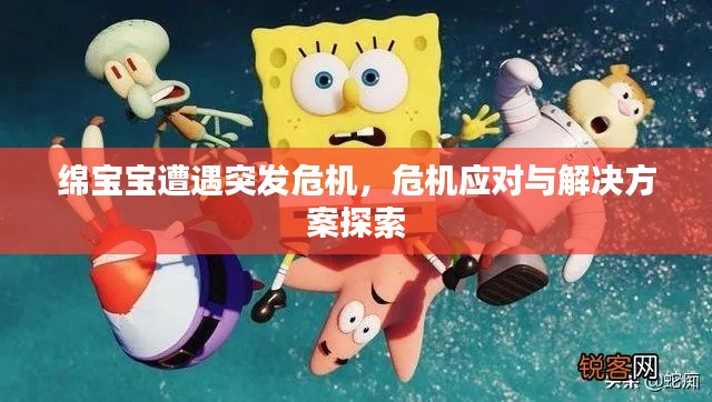 绵宝宝遭遇突发危机,危机应对与解决方案探索