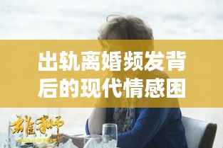 出轨离婚频发背后的现代情感困境与挑战