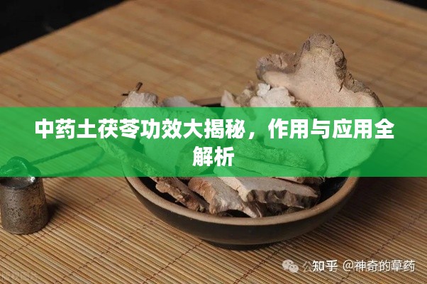 中药土茯苓功效大揭秘,作用与应用全解析