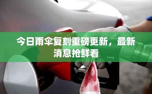 今日雨伞复刻重磅更新，最新消息抢鲜看
