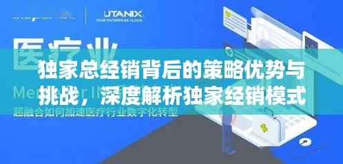 独家总经销背后的策略优势与挑战,深度解析独家经销模式