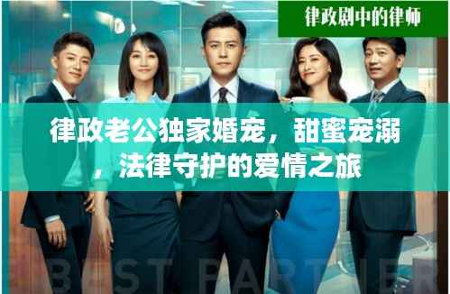 律政老公独家婚宠,甜蜜宠溺,法律守护的爱情之旅