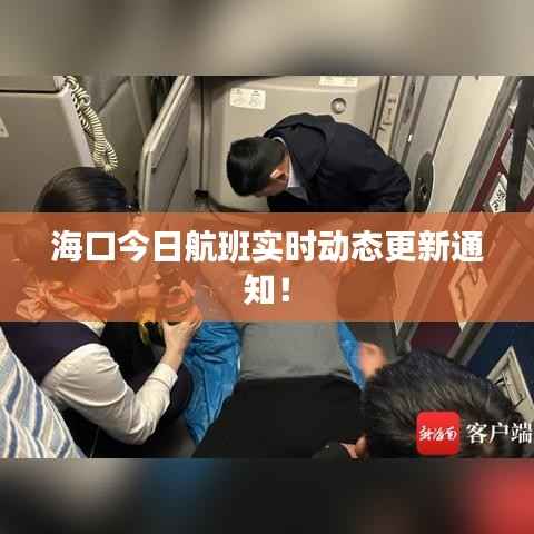 海口今日航班实时动态更新通知!