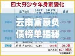云南富豪负债榜单揭秘,前十名富豪的债务危机!