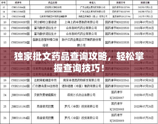 独家批文药品查询攻略，轻松掌握查询技巧！