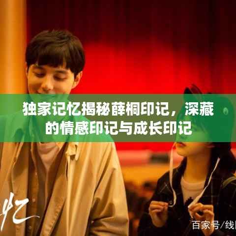 独家记忆揭秘薛桐印记,深藏的情感印记与成长印记