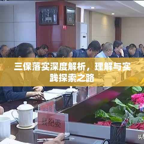 三保落实深度解析,理解与实践探索之路