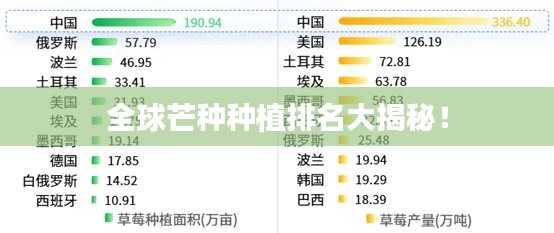 全球芒种种植排名大揭秘!