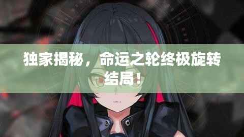独家揭秘,命运之轮终极旋转结局!