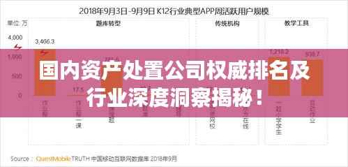 国内资产处置公司权威排名及行业深度洞察揭秘！