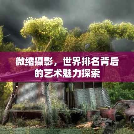 微缩摄影,世界排名背后的艺术魅力探索