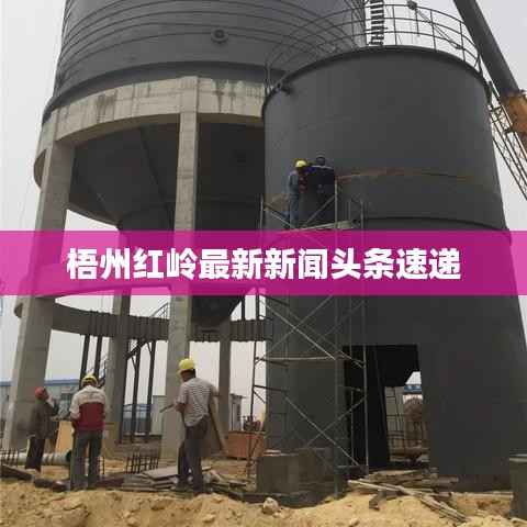 梧州红岭最新新闻头条速递