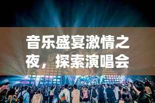 音乐盛宴激情之夜,探索演唱会魅力之旅