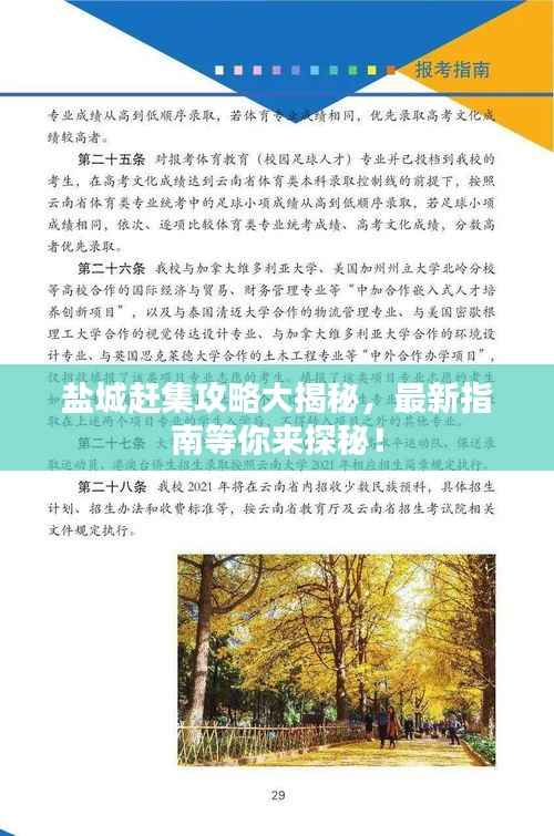 盐城赶集攻略大揭秘,最新指南等你来探秘!